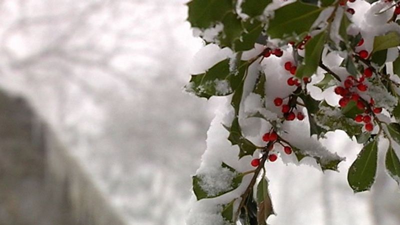 El frío y la nieve predomina en la península