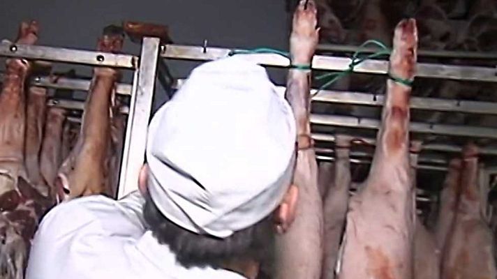 España Directo - España Directo - 24/03/17