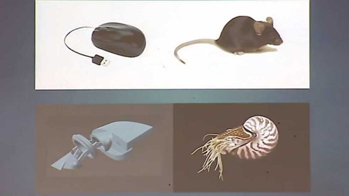 Emprende Digital - Emprende Digital - 26/03/17