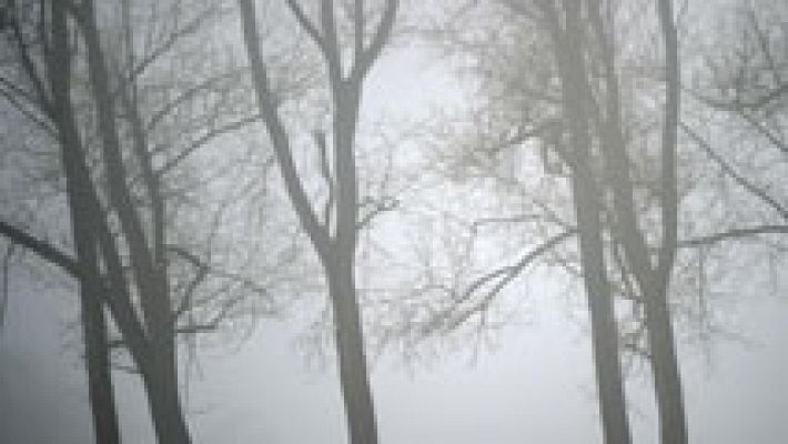 El tiempo - Lluvias localmente fuertes en Madrid, Extremadura y ambas Castillas