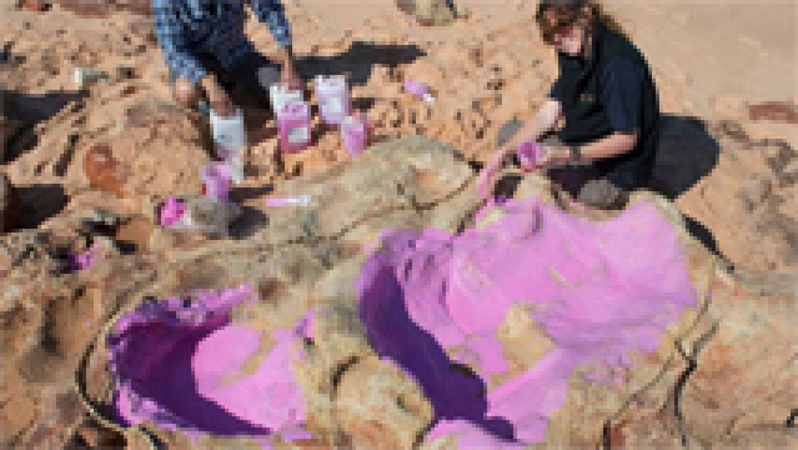Telediario 1: Identifican en Australia una concentración de huellas de hasta 21 especies de dinosaurios | RTVE Play