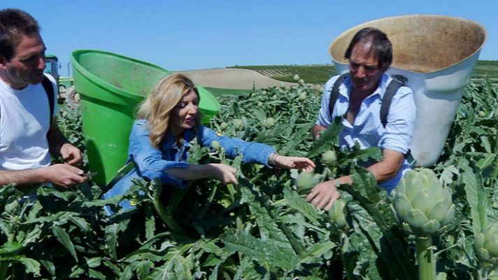 Aquí la Tierra - Un tesoro verde: alcachofas