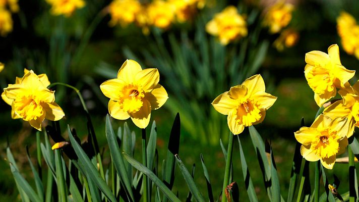 Informativo de Madrid - El Tiempo en la Comunidad de Madrid - 28/03/17