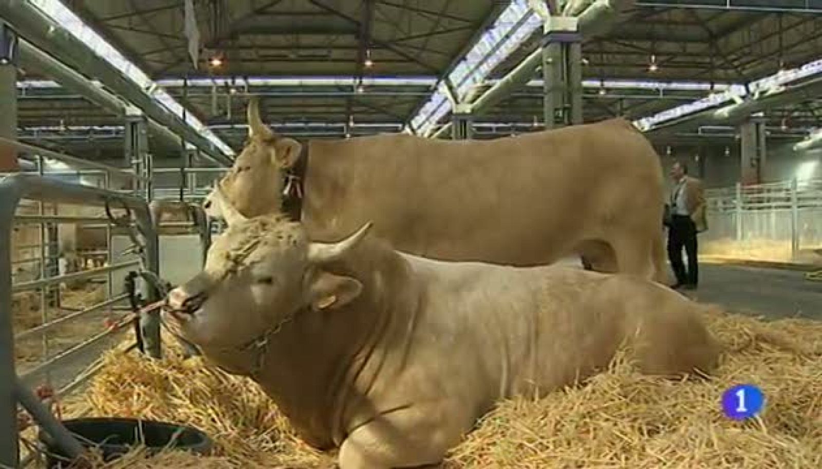 Noticias Aragón - 28/03/2017