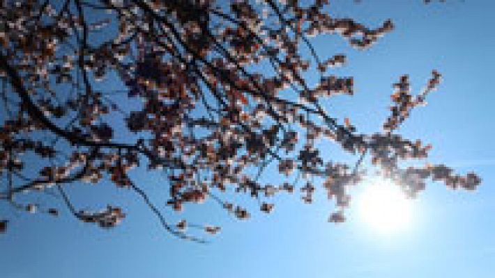 Informativo de Madrid - El Tiempo en la Comunidad de Madrid - 29/03/17