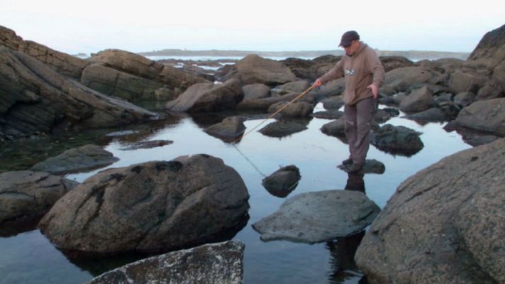 Aquí la Tierra - Chano y los peces babosos