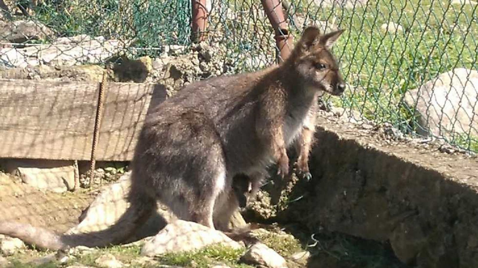 Aquí la Tierra - 29/03/17 - ver ahora