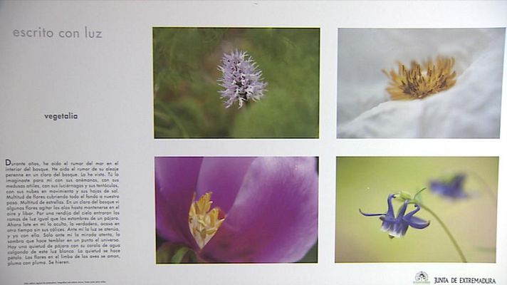  - LIBRO ESCRITO CON LUZ