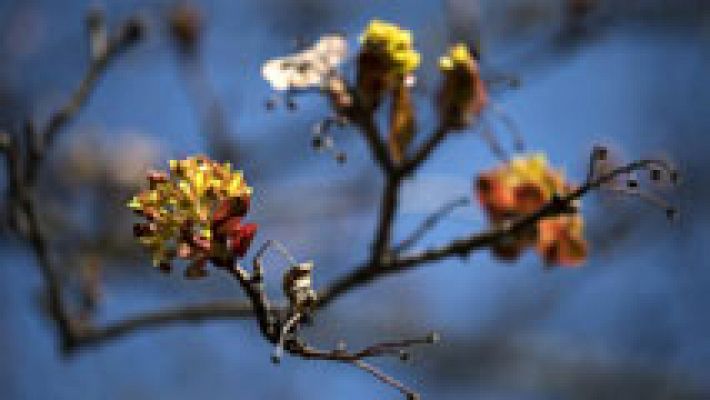 El tiempo - Predominio de cielo despejado salvo en mitad oeste y subida de temperaturas
