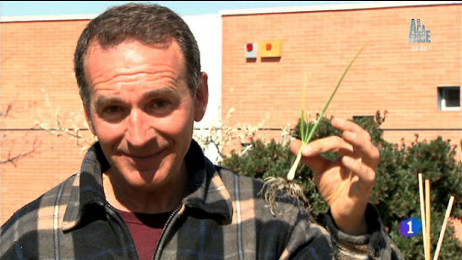 Cebollas ¡para llorar de alegría!