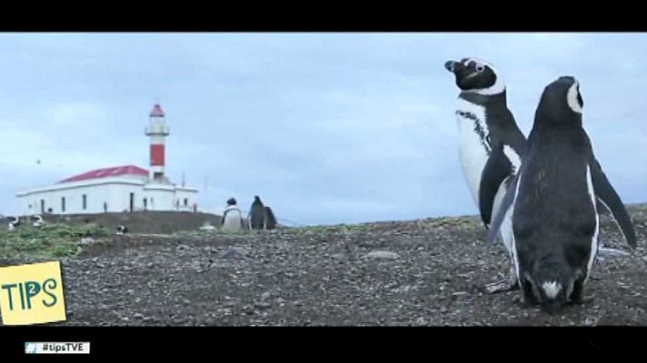 Tips - Tips - 30/03/17