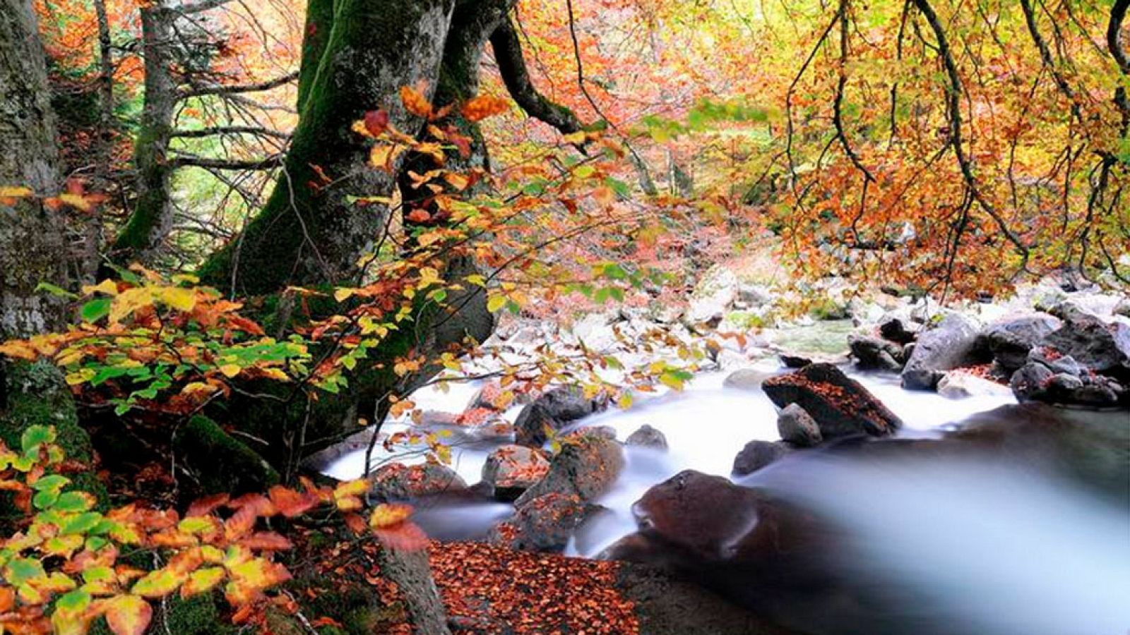 Días de cine - Cantábrico