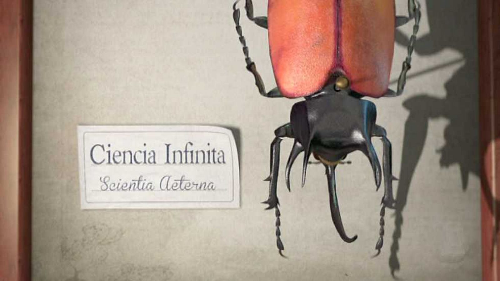 El escarabajo verde - Ciencia infinita. Cibertaxonomía