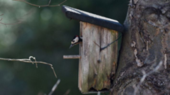 El tiempo - Aumento de la inestabilidad en el norte y este y bajará la temperatura