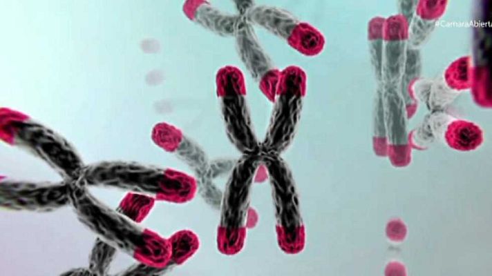 Cámara abierta - Inmortalidad, Roberto Santiago, Ángel Álvarez (Creativos)