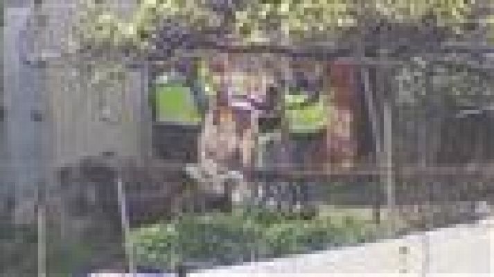 Telecanarias - Telecanarias - 01/04/2017