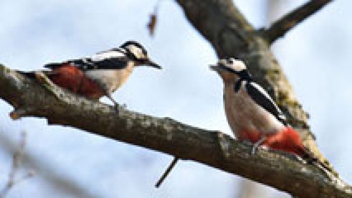 El tiempo - Tiempo estable salvo en el Cantábrico y puntos del área mediterránea