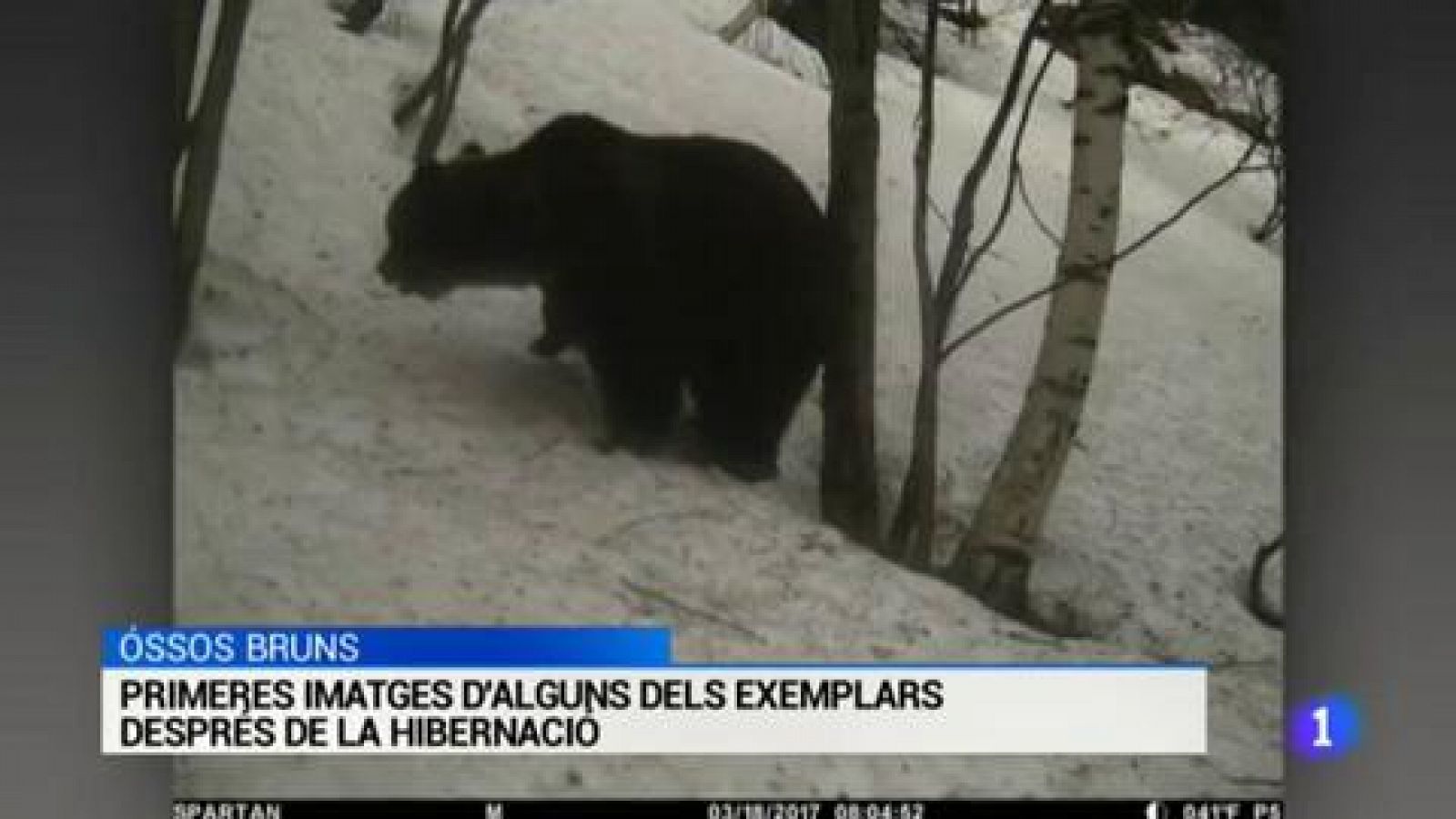 L'Informatiu - 03/04/17