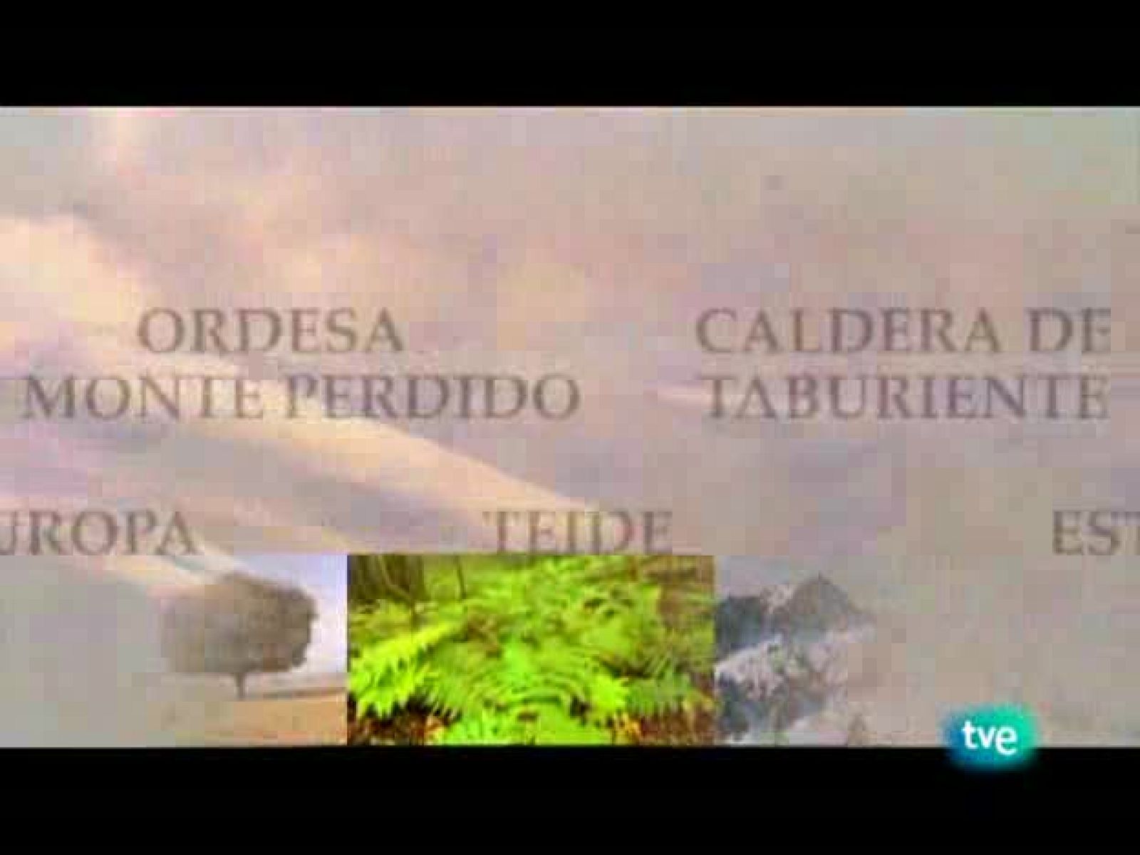 Espacios naturales - Nuestros parques nacionales - Doñana | Ver