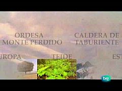 Espacios naturales - Nuestros parques nacionales - Doñana