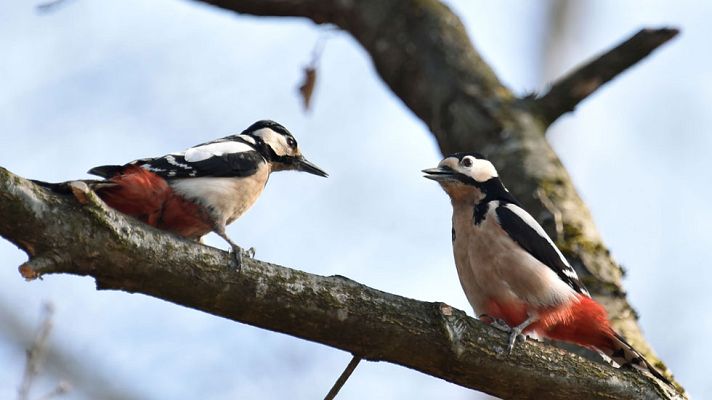 Informativo de Madrid - El Tiempo en la Comunidad de Madrid - 04/04/17