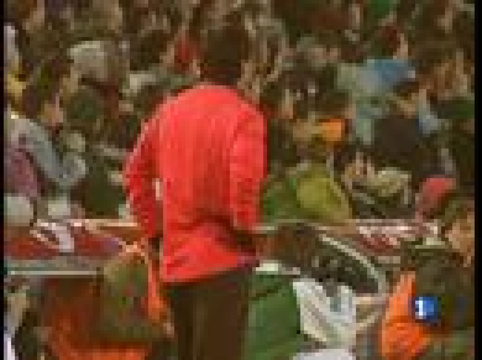 Messi logra el gol 5.000 | Ver