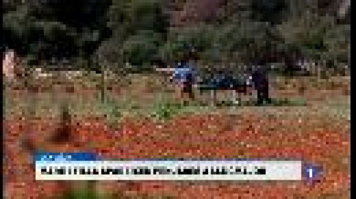 Informatiu Balear - Informatiu Balear en 2' - 05/04/17