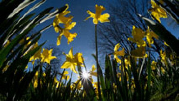 Informativo de Madrid - El Tiempo en la Comunidad de Madrid - 05/04/17