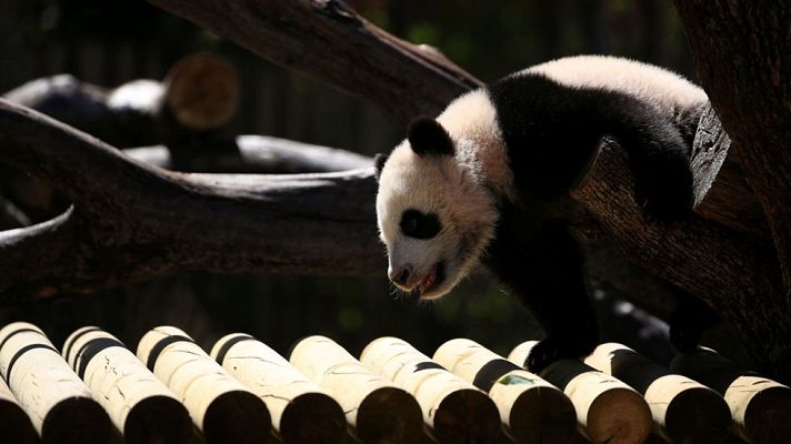 Informativo de Madrid - Informativo de Madrid 2 - 05/04/17