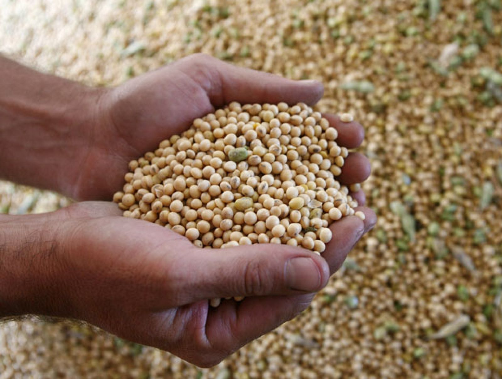 En portada - La guerra de la soja | Ver