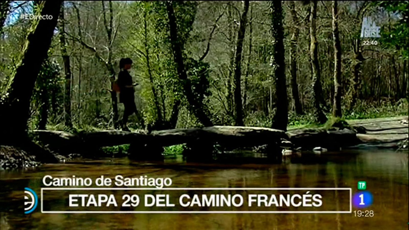 España Directo - Los últimos kilómetros del camino francés de Santiago