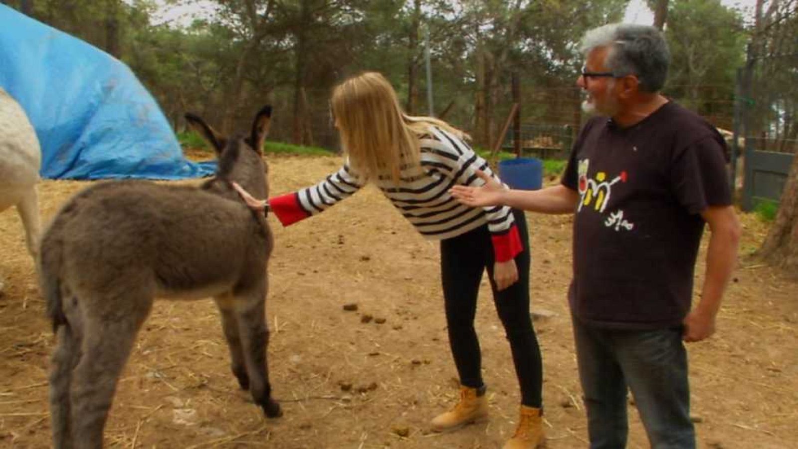 Aquí la Tierra  - 05/04/17 - ver ahora