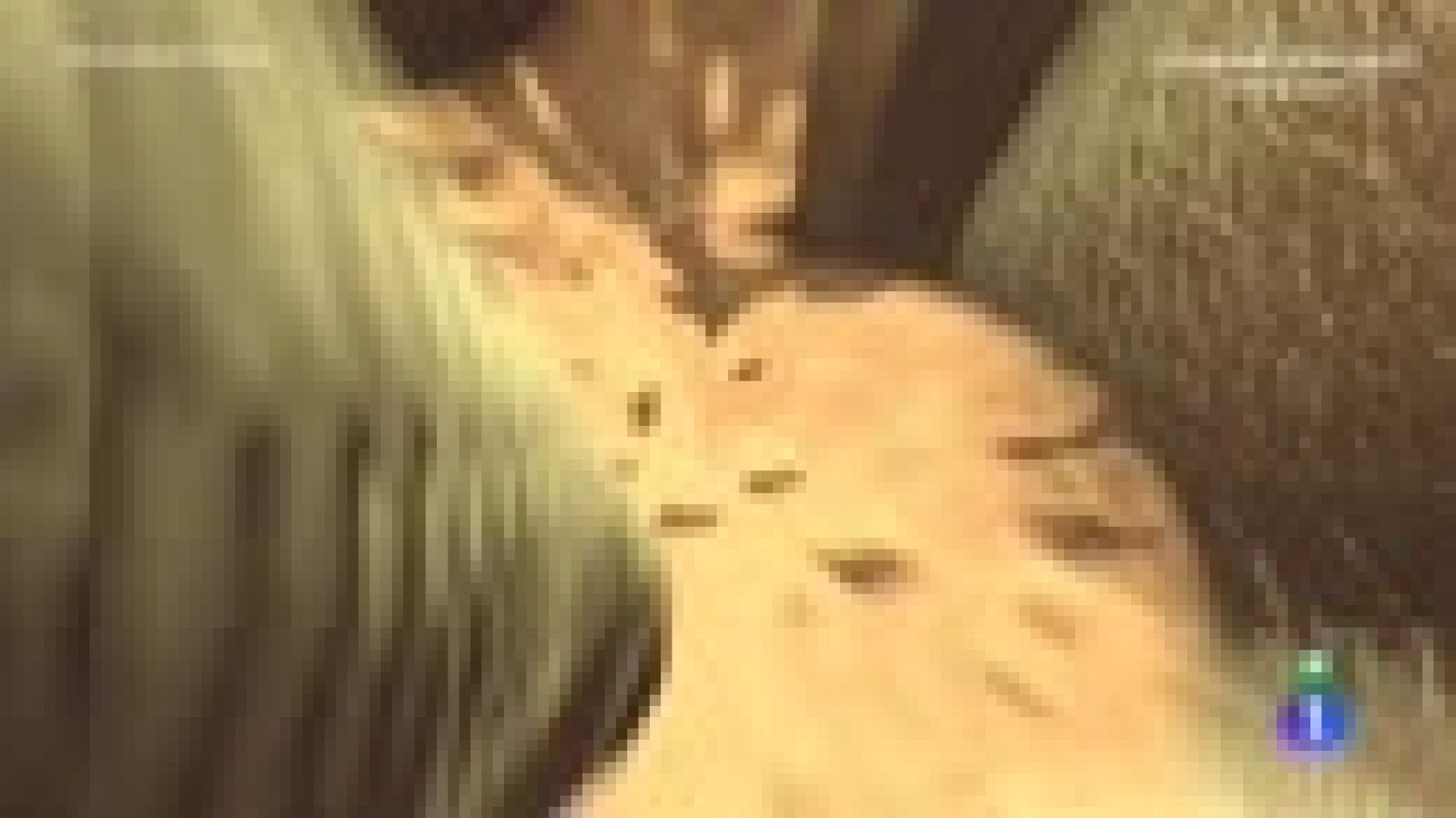 El Acabose - Cambiamos a un político honrado por uno corrupto