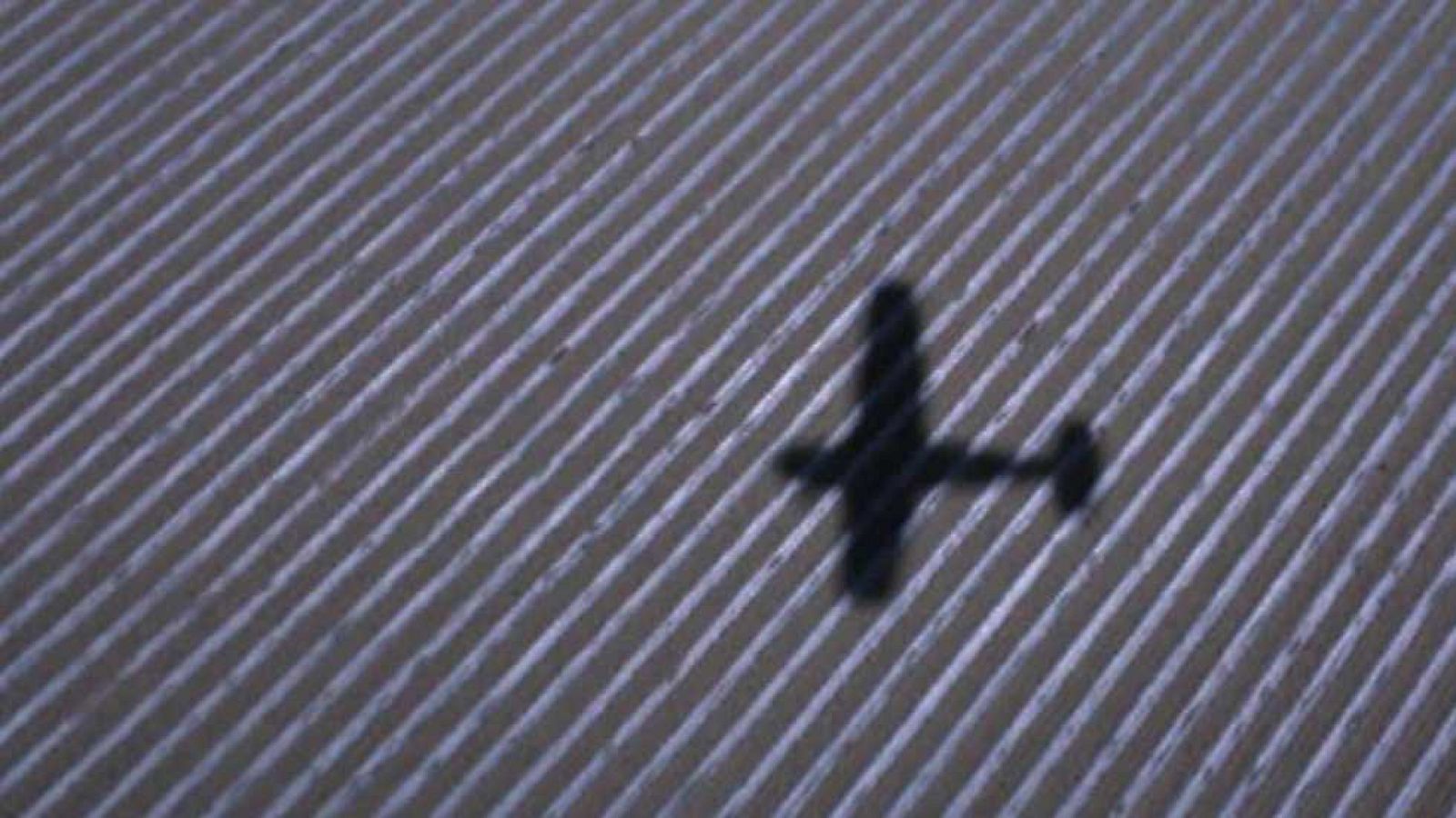 La aventura del saber - 06/04/17 - ver ahora