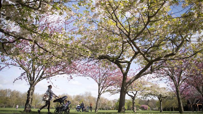 Informativo de Madrid - El Tiempo en la Comunidad de Madrid - 06/04/17