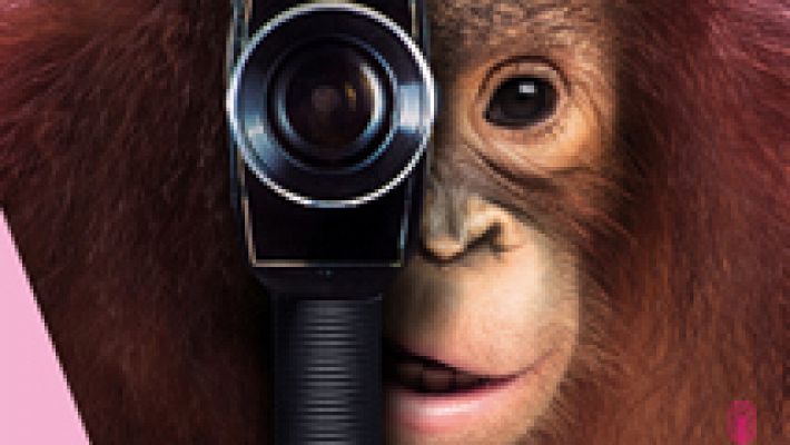 Días de cine - 17º Festival Internacional de Cine de Las Palmas