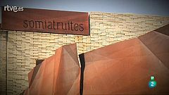 Punts de vista - 6/04/2017