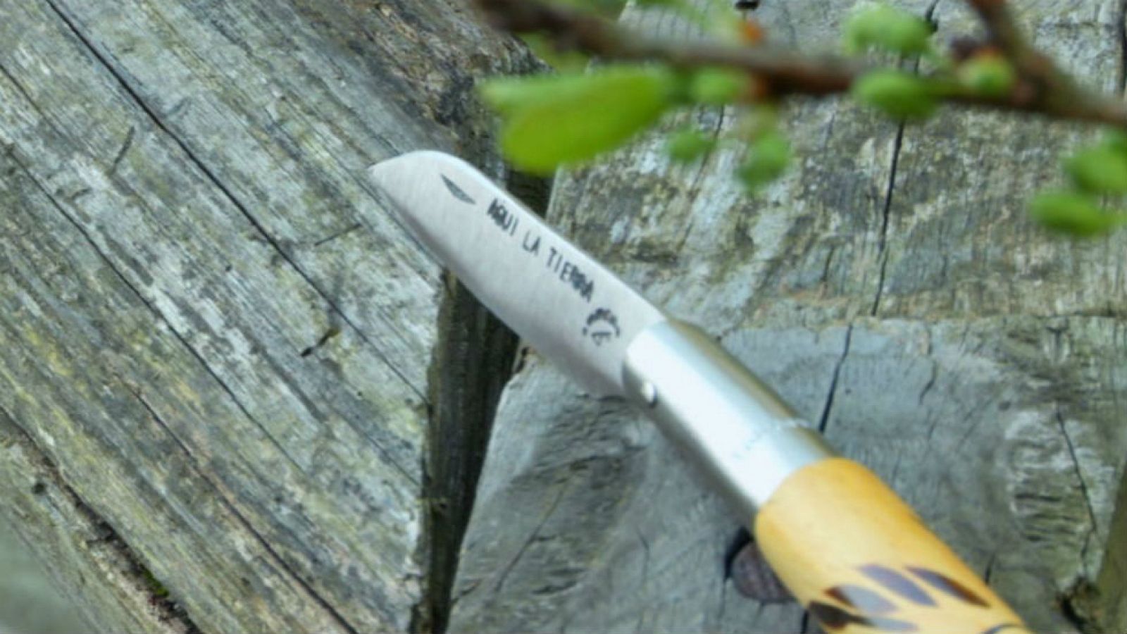 Unas navajas muy mimadas