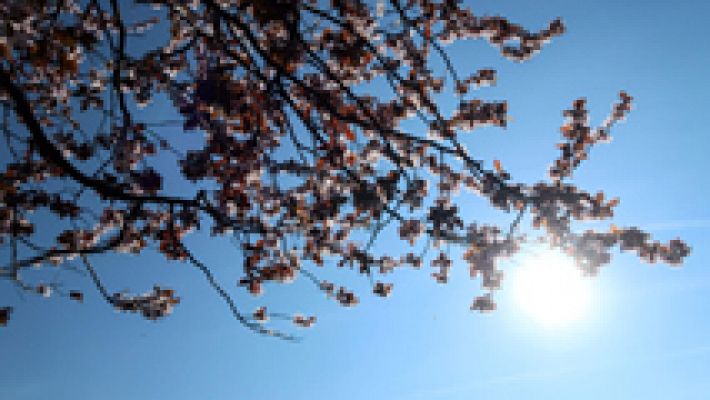 Mañana, cielo despejado en casi toda España