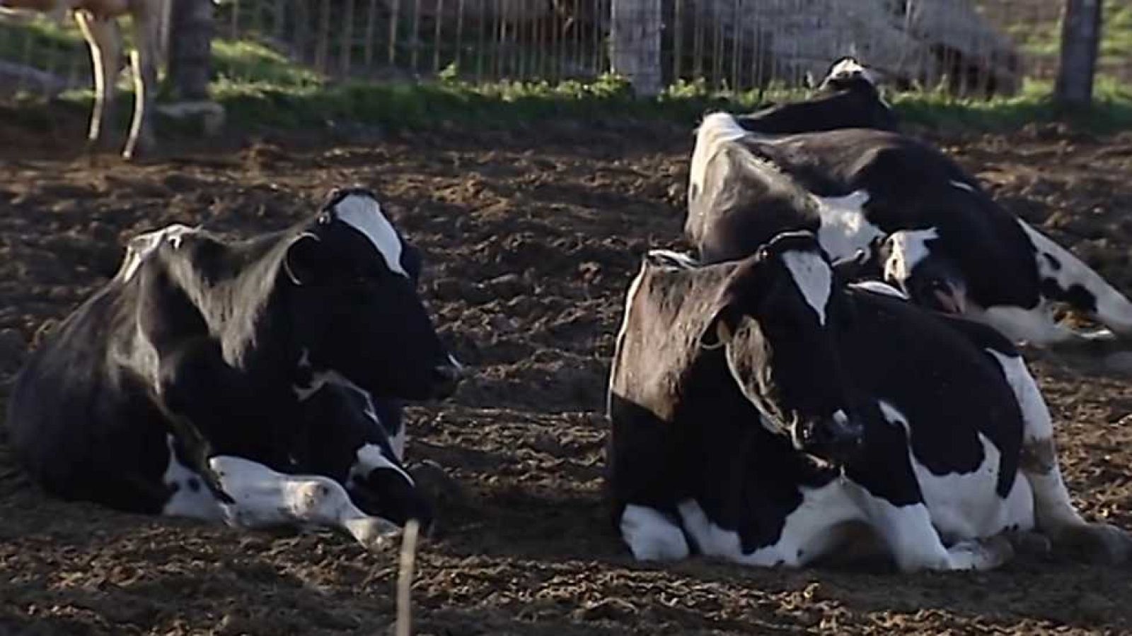 España en comunidad - 08/04/17 - ver ahora
