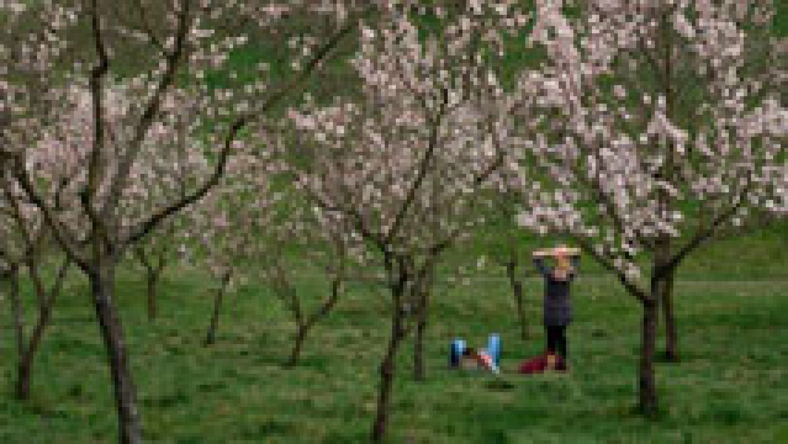 El tiempo: Temperaturas superiores a las normales en el norte y centro | RTVE Play