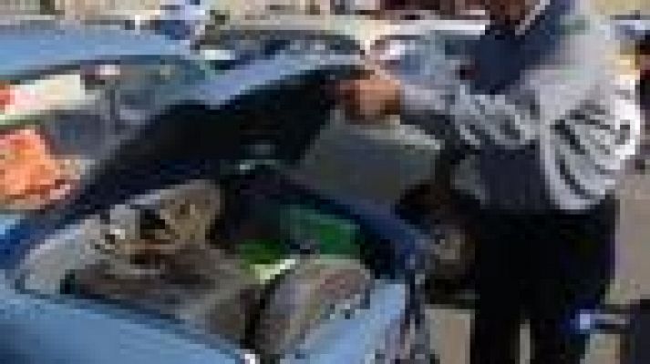 L'Informatiu - 60 cotxes SEAT 600 roden al circuit de Fòrmula 1 de Montmeló en l'Esperit de Montjuïc