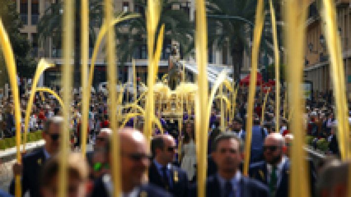 Telediario 1 - La Palma Blanca de Elche