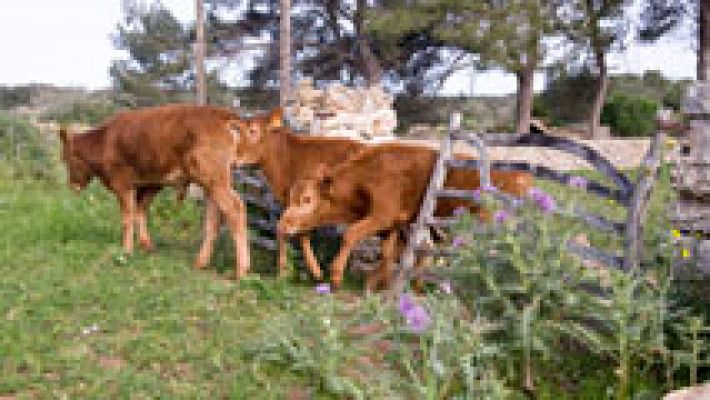 Se prevé aumento de la nubosidad en el norte de Galicia, área cantábrica y alto Ebro