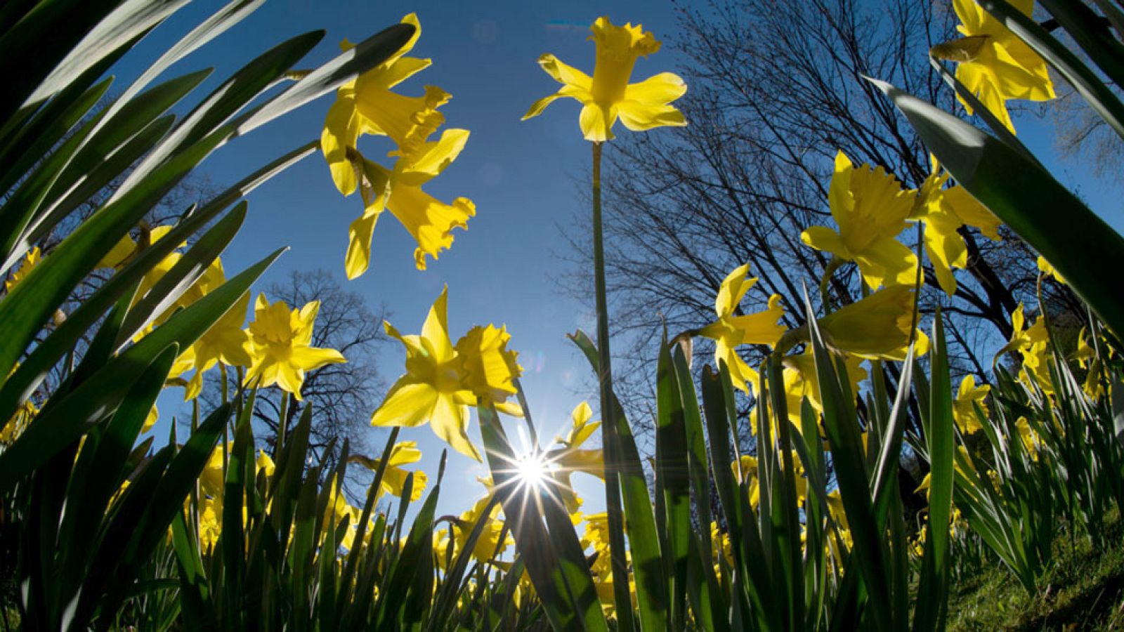 Informativo de Madrid 2 - 10/04/17