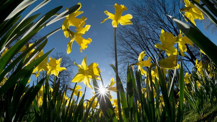 Informativo de Madrid - Informativo de Madrid 2 - 10/04/17