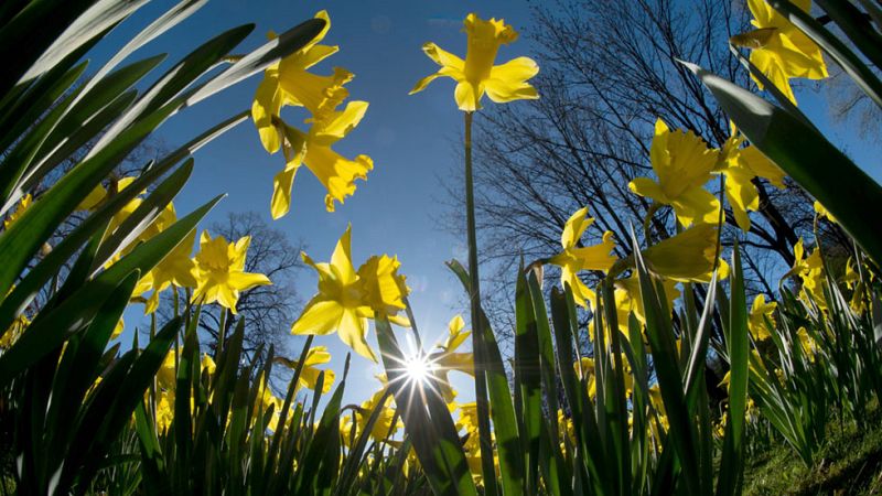 Informativo de Madrid 2 - 10/04/17