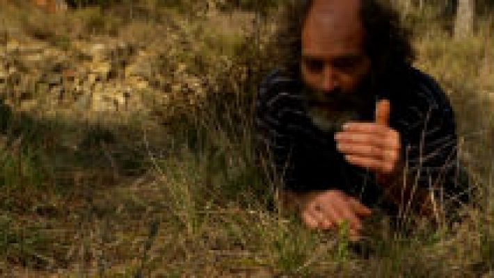 Aquí la Tierra - Plantas extraordinarias