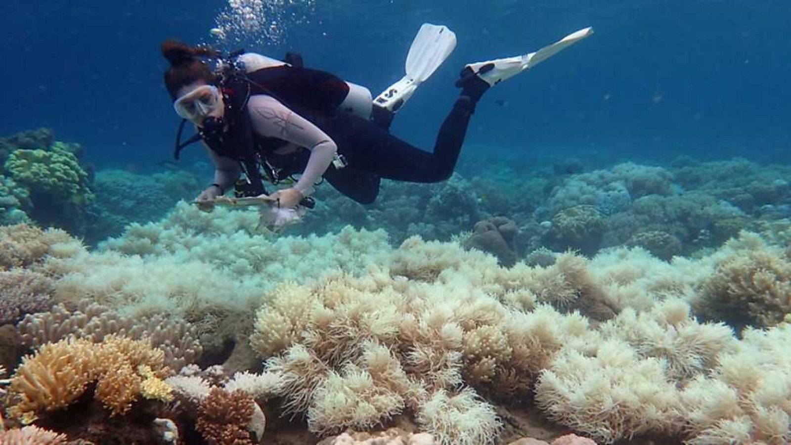 La 2 Noticias - 10/04/17 - ver ahora