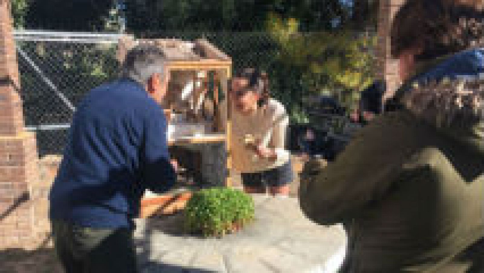 Los secretos de un molino